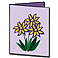 card.gif (2188 bytes)